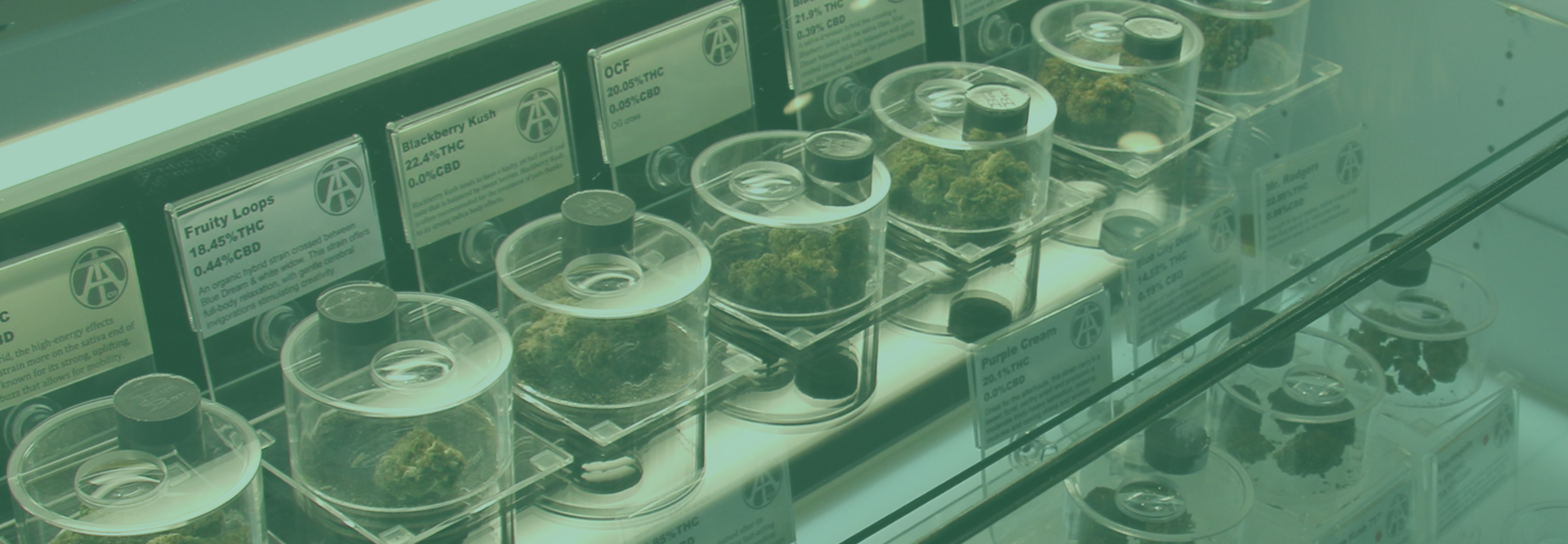 Cannabis flower on display in dispensary
