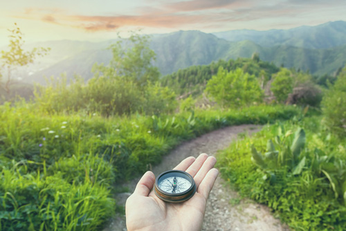 holding compass through colorful forest