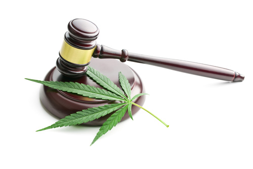 law judge gavel and cannabis leaf