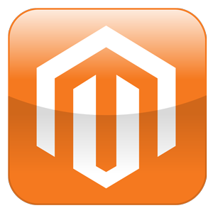 Magento website development platform