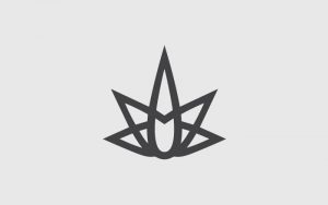 Evolvd cannabis logo