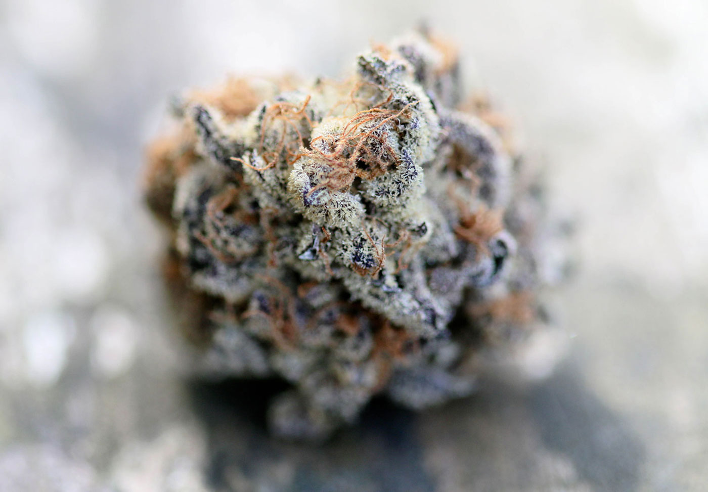 Closeup photography of cannabis bud