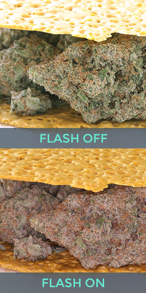 Cannabis Photography flash comparison