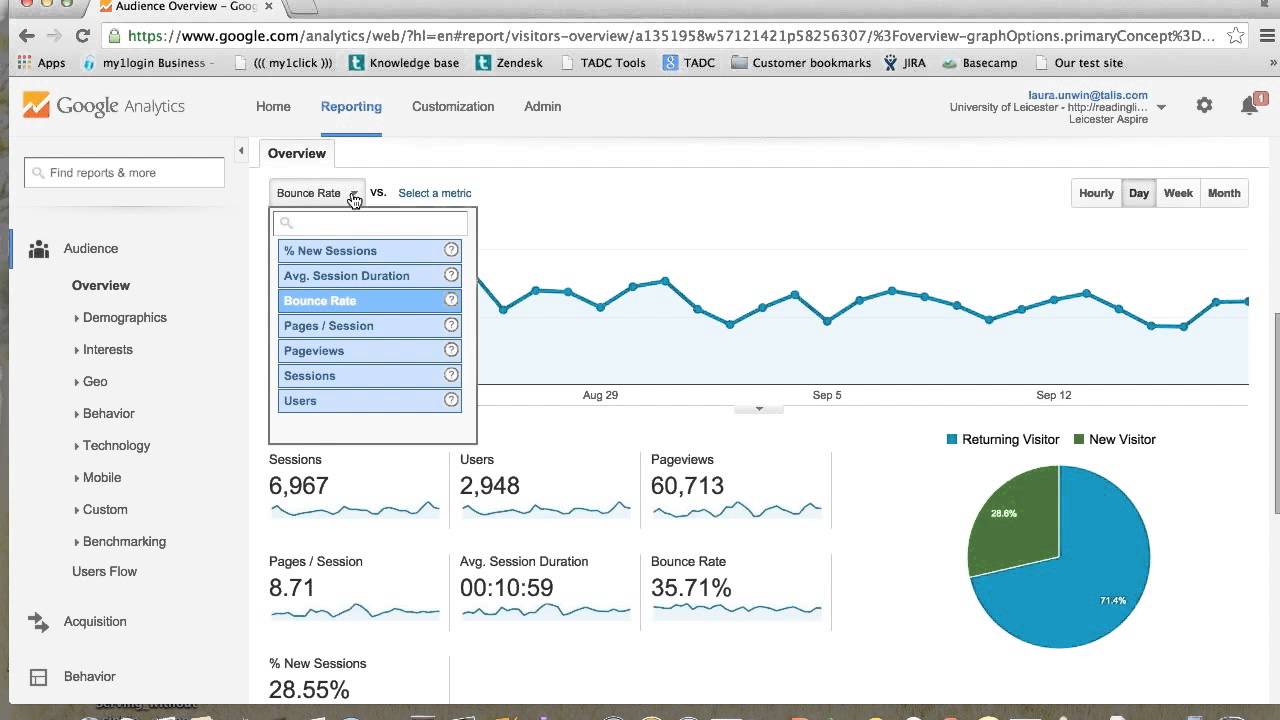 Cannabis SEO Google Analytics Example