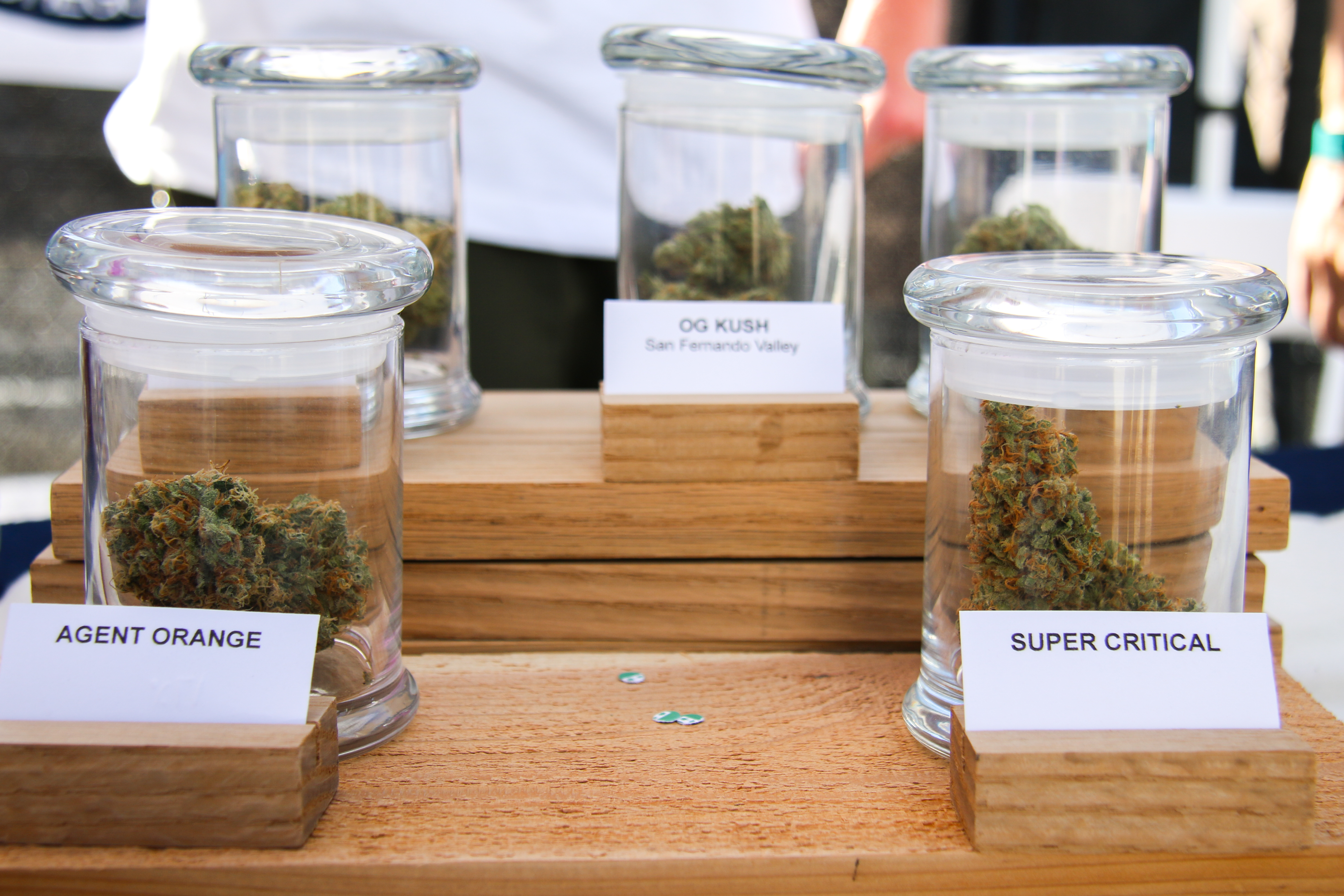 Fractal Farms Cannabis Tradeshow Display at Portland Summer Fair 2016