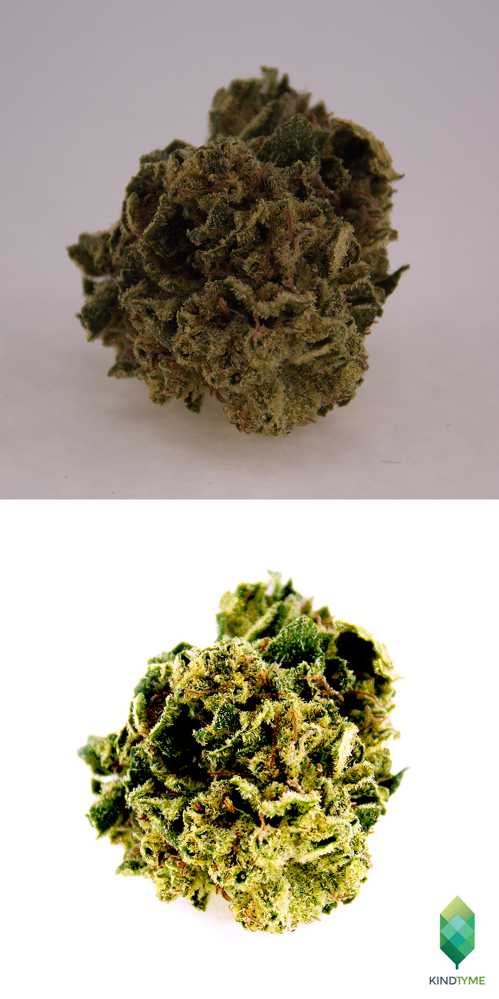 kindtyme-cannabis-photography-bud-edited-nonedit-branding-marketing-portland-oregon