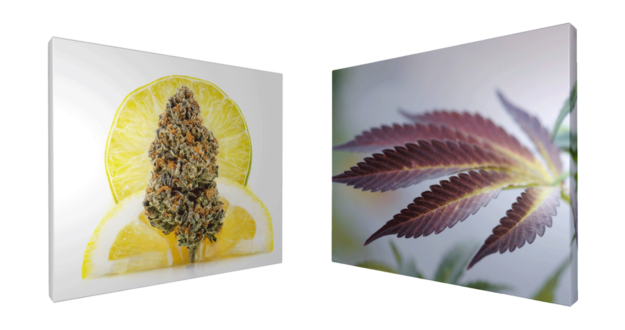 420 Wall Art Prints for Gifts